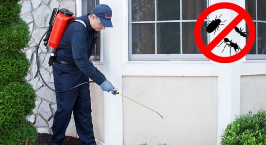 Karacasu Böcek İlaçlama böcek ilaçlama ve haşere kontrolü — ilaclama-tr.com